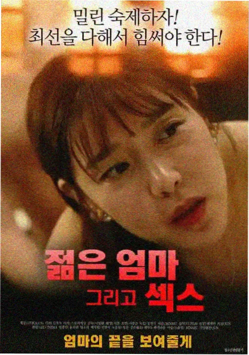 伦理剧集 灰色地带的女人 海报