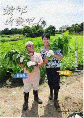 七十年代邪典修复重映 配图